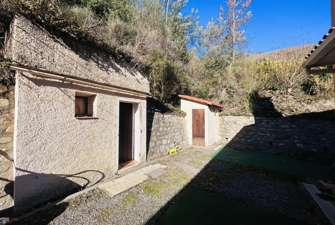 Maison 4 faces de plain pied avec garage et jardin à Arles sur Tech 