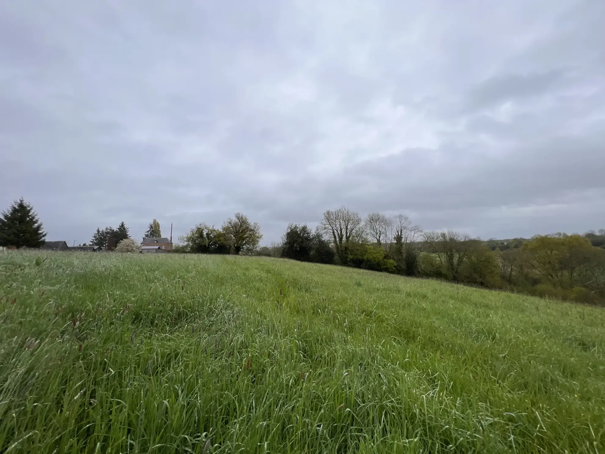 Terrain à Saint-Cyr-du-Ronceray 