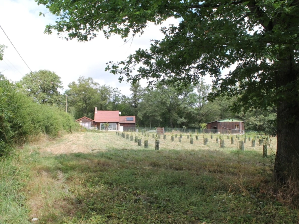 Maison avec 2 granges sur un terrain de plus d'un hectare avec plantation de 300 Charmes Truffier 