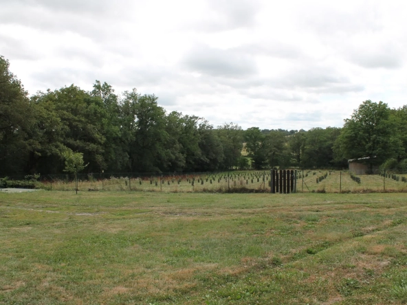 Maison avec 2 granges sur un terrain de plus d'un hectare avec plantation de 300 Charmes Truffier 