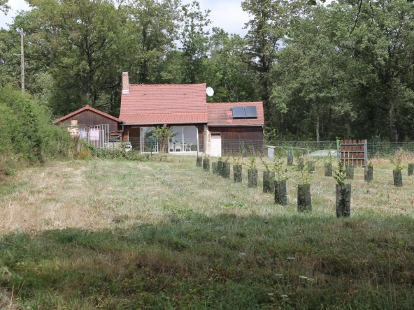 Maison avec 2 granges sur un terrain de plus d'un hectare avec plantation de 300 Charmes Truffier 