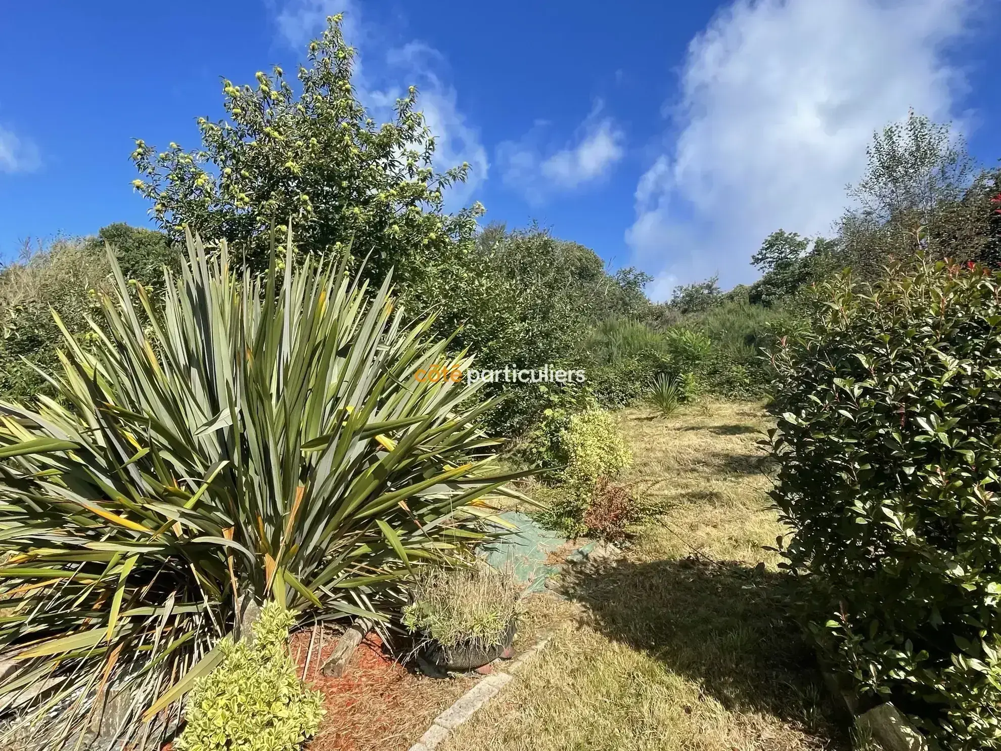 Longère Charmante à Ploërdut - Maison 90m2 2ha Terrain 157 350 FAI 