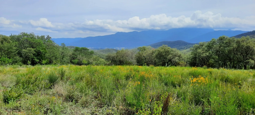 Terrain de loisir de 27 000m2 à Oms avec vue sur les montagnes