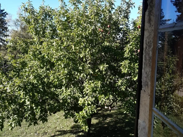 Maison en Pierre à Rénover 6 Pièces à Douvres avec Jardin 