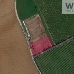 Terrain Agricole de 2500m2 - Aubord (30620)