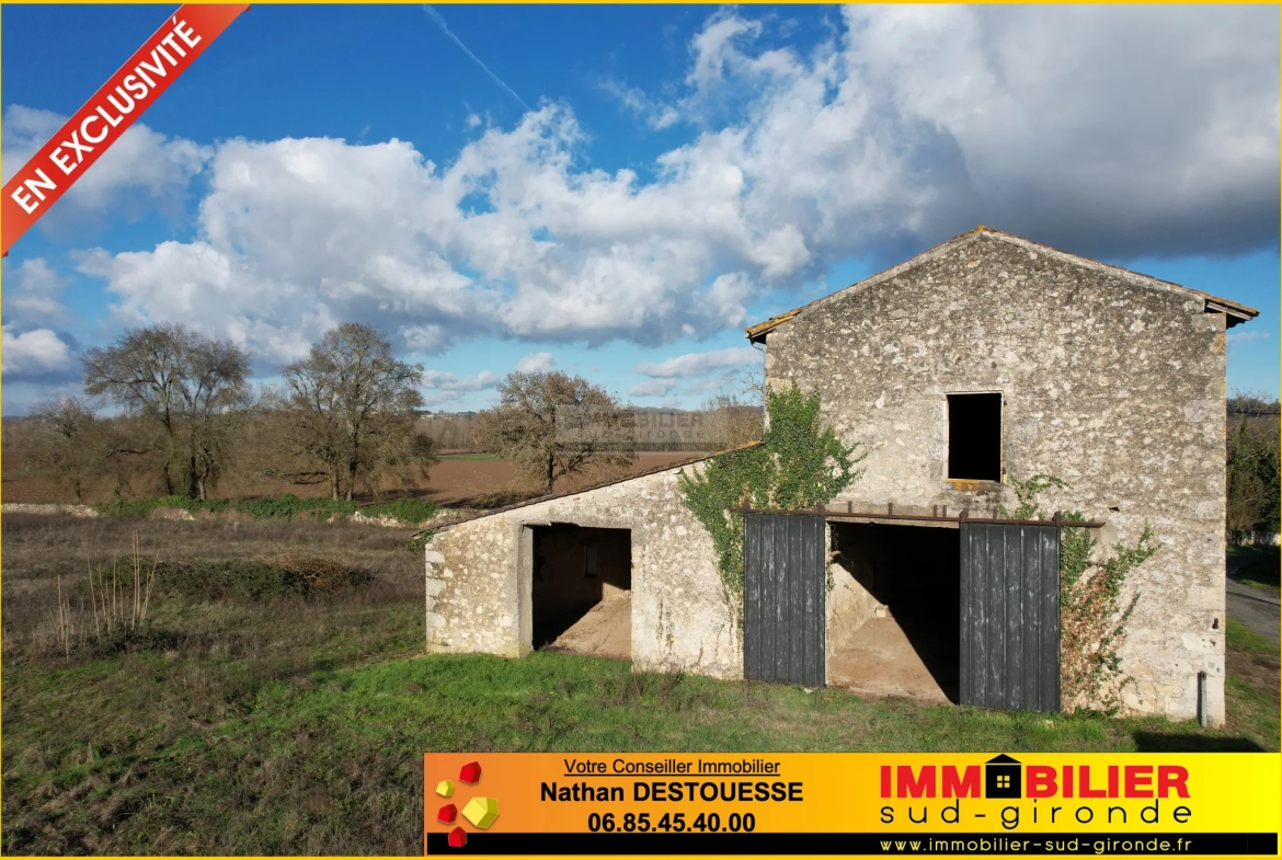 Belle bâtisse en pierre à réhabiliter avec vue sur les bords de Garonne à Podensac 