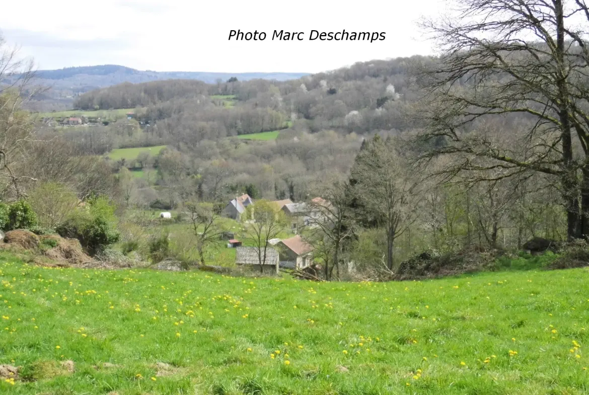 2 Maisons de village à rénover, beau potentiel, ~ 88m2 hab., sur 562m2 à La chapelle taillefert 