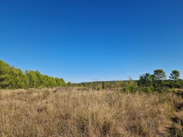Terrain à vendre à Combas