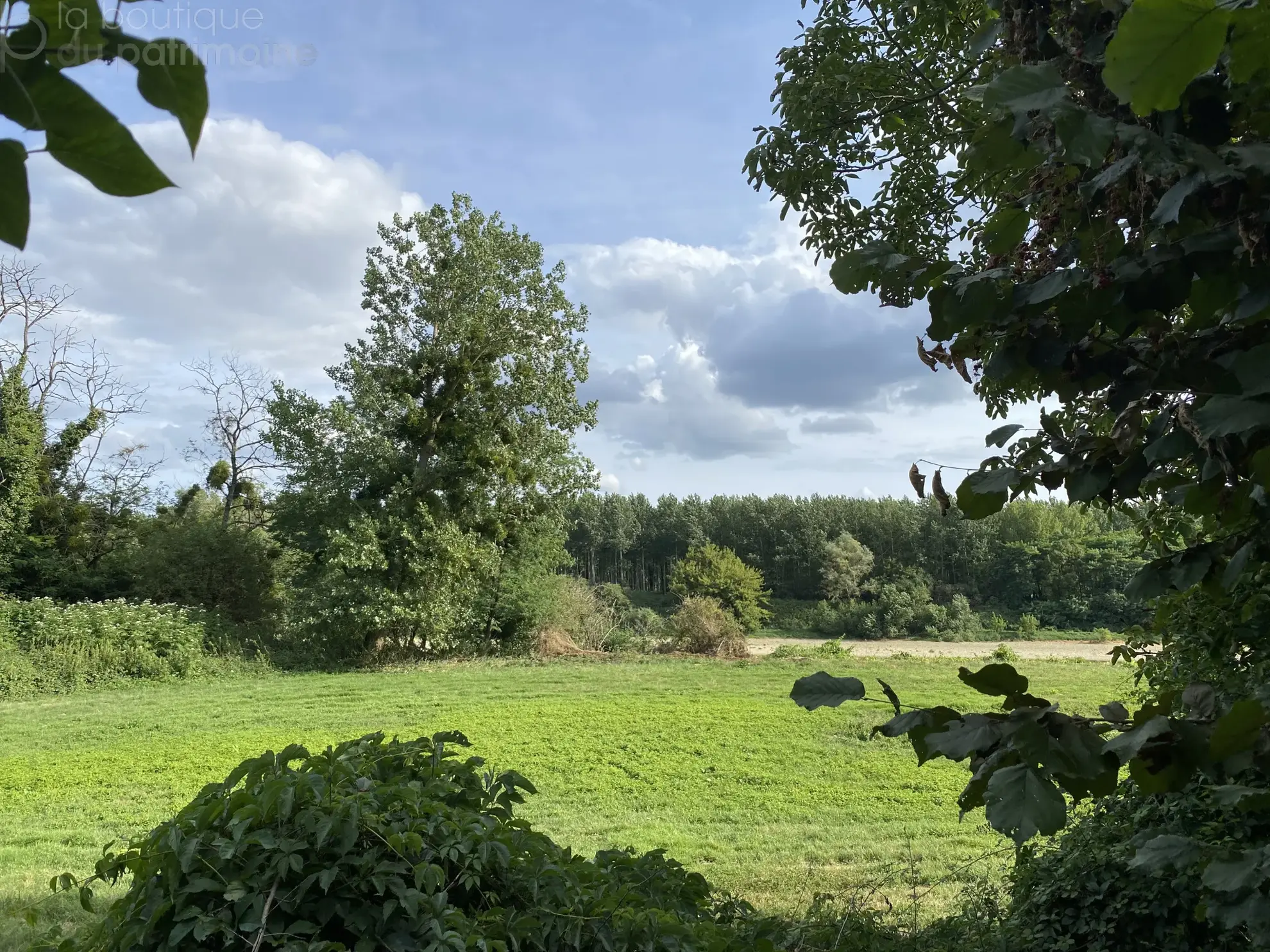 Propriété avec Deux Maisons et Piscine à La Réole 