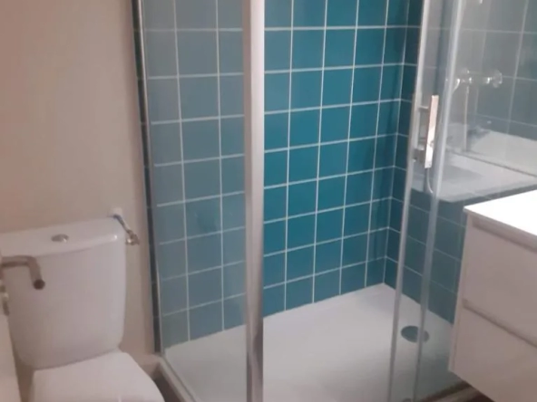 Appartement studio avec terrasse - Bordeaux - Porte de Bourgogne 