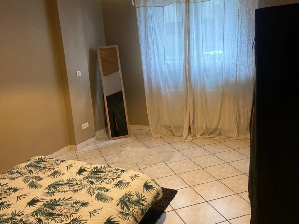 Appartement T4 de 95 m2 avec garage et cave à Saint Etienne 