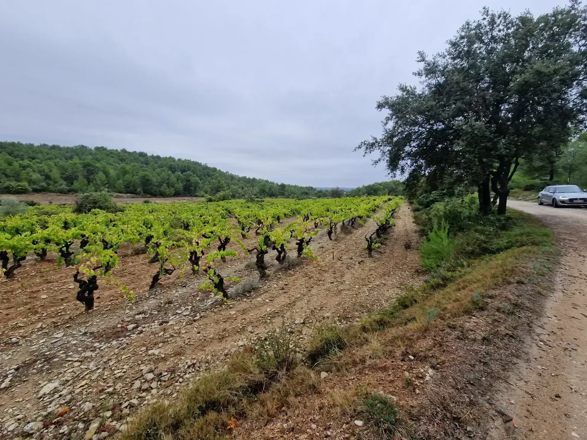 Terrain agricole à Garrigues 