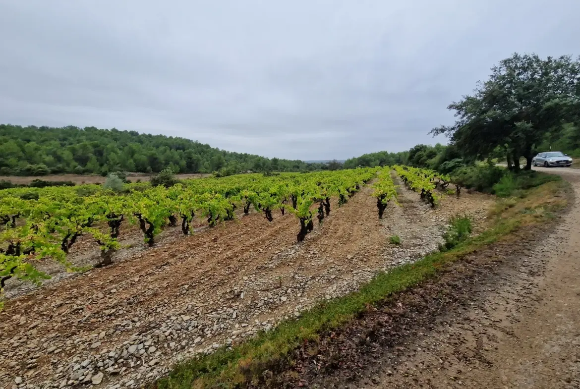 Terrain agricole à Garrigues 