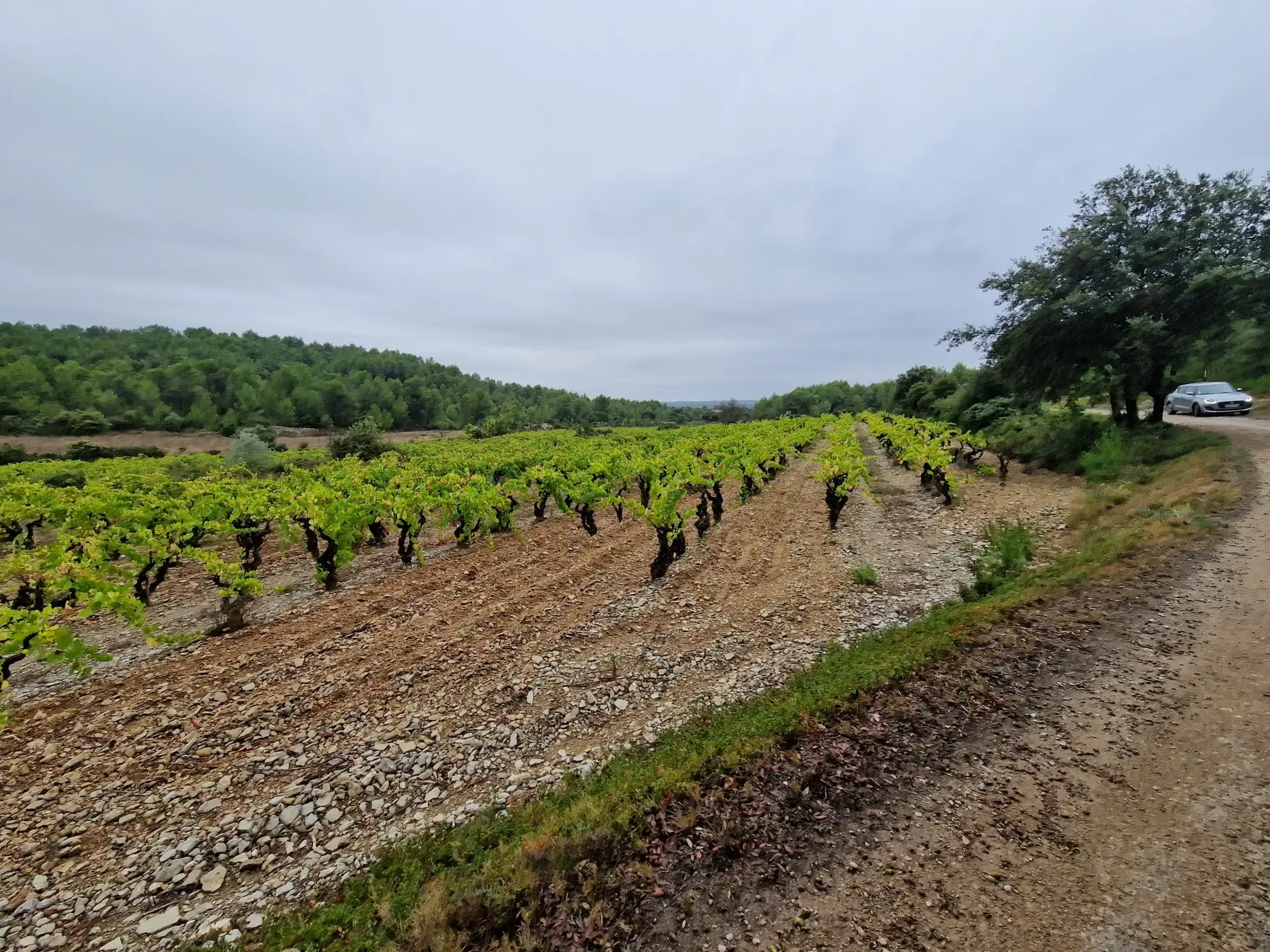 Terrain agricole à Garrigues 