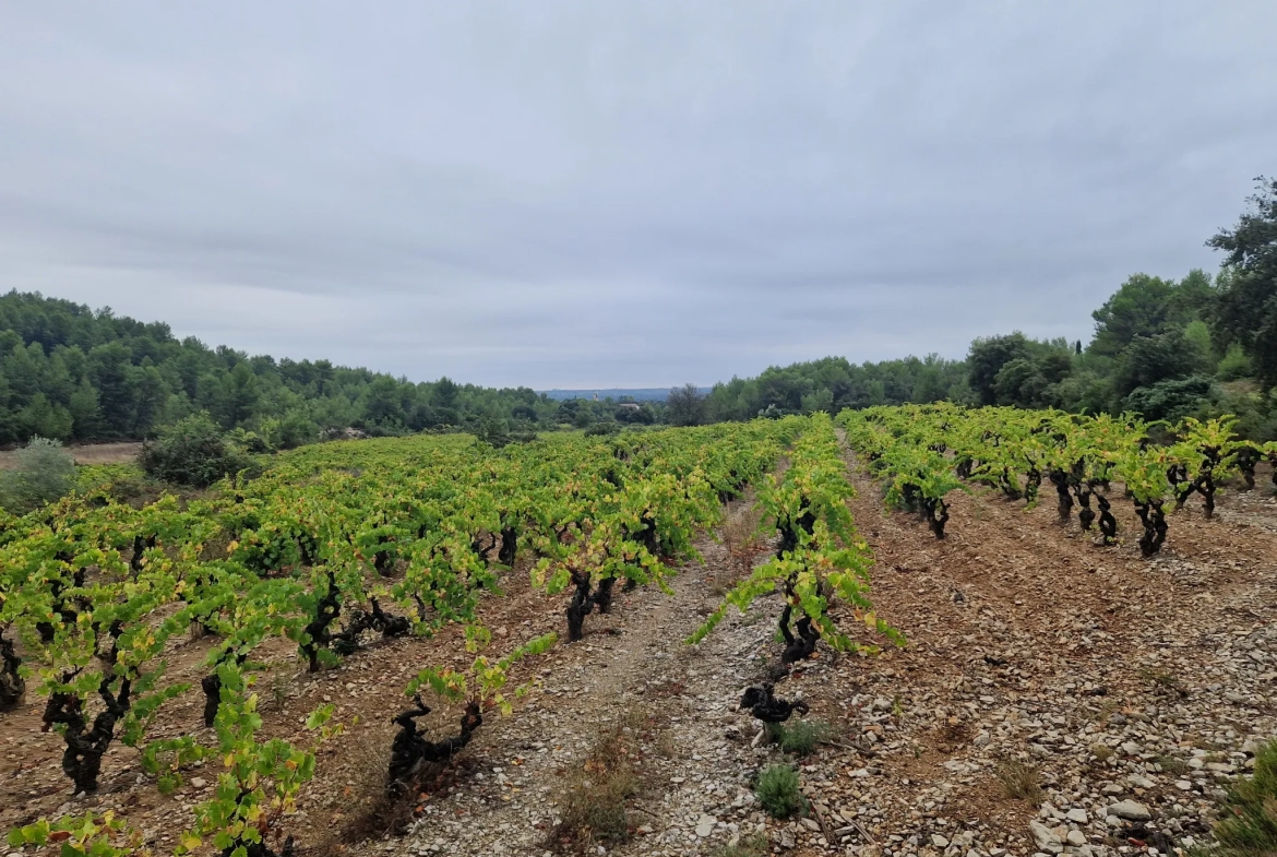 Terrain agricole à Garrigues 