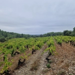 Terrain agricole à Garrigues