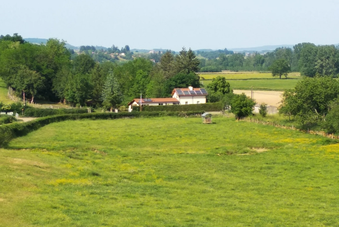 Villa à acheter pour petite famille avec terrasse à Brandon (71) 