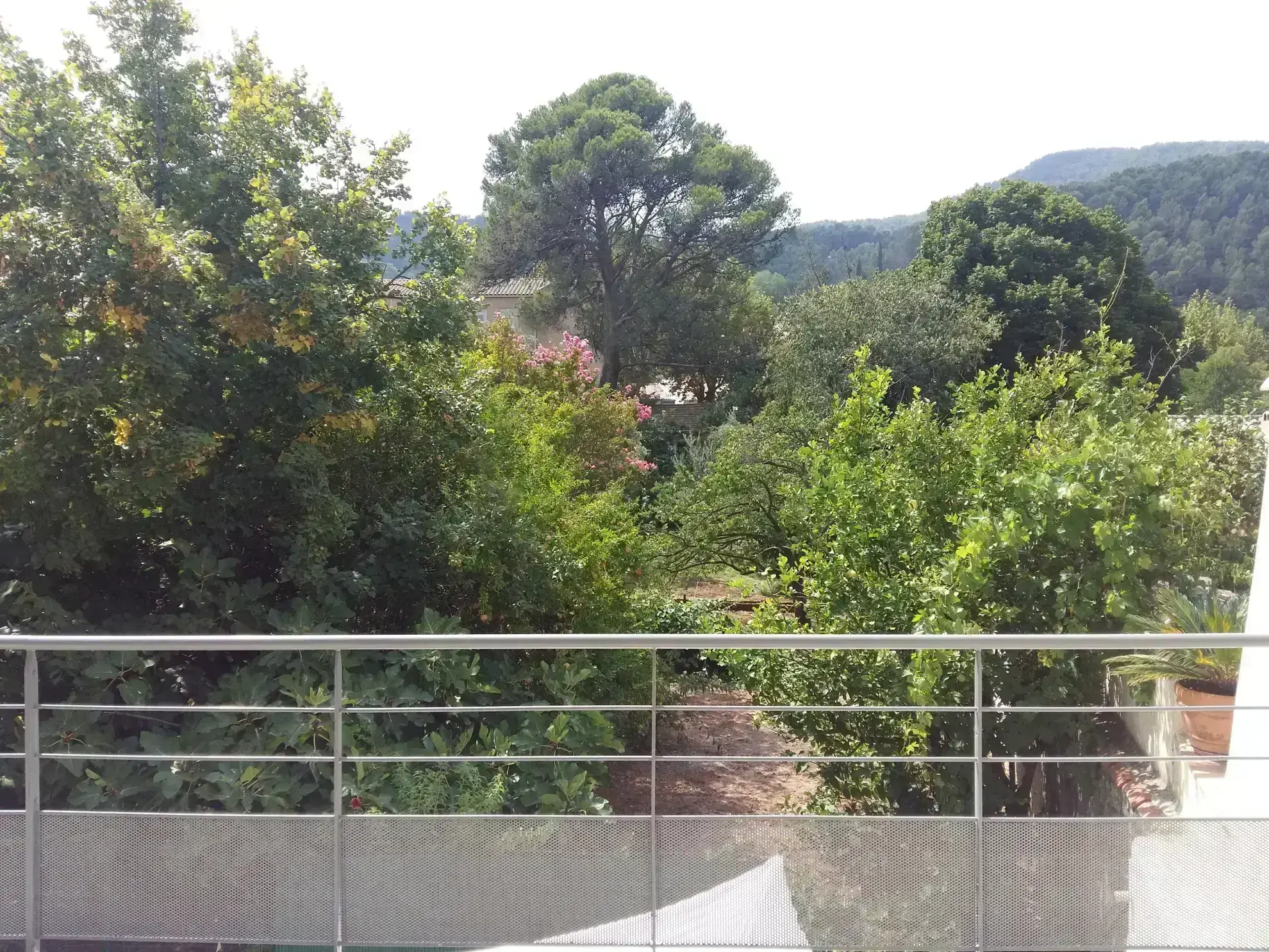 Appartement 1 chambre avec terrasse à SOLLIES-PONT 