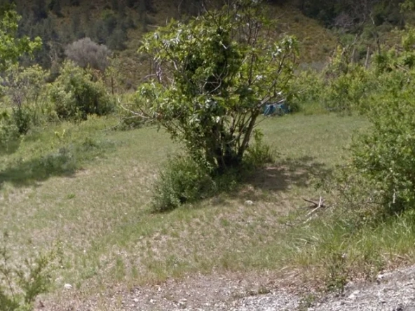 Terrain de Loisirs à Cuebris - 1993m2 