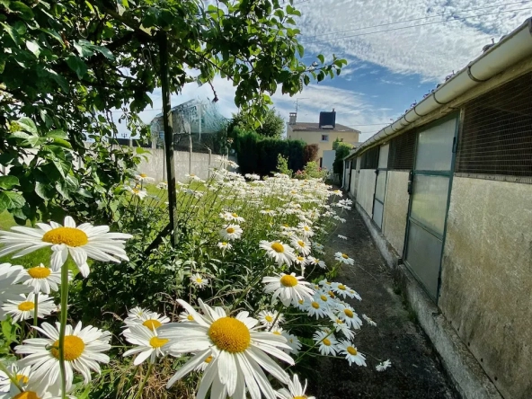 Maison à vendre à Hautmont (59) avec Tigre Immobilier 