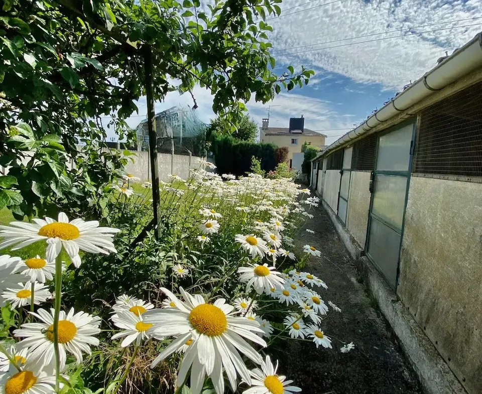 Maison à vendre à Hautmont (59) avec Tigre Immobilier 