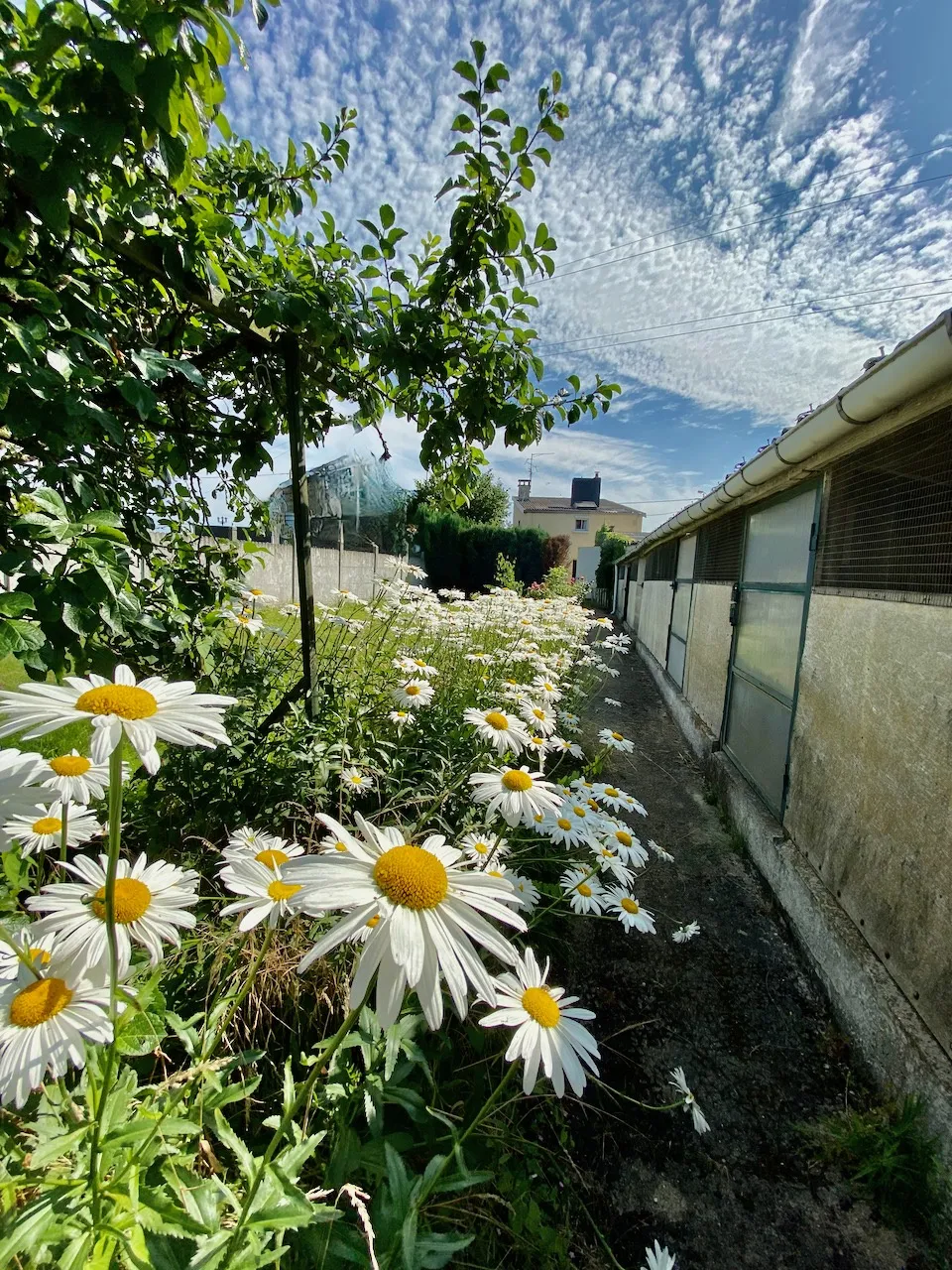 Maison à vendre à Hautmont (59) avec Tigre Immobilier 