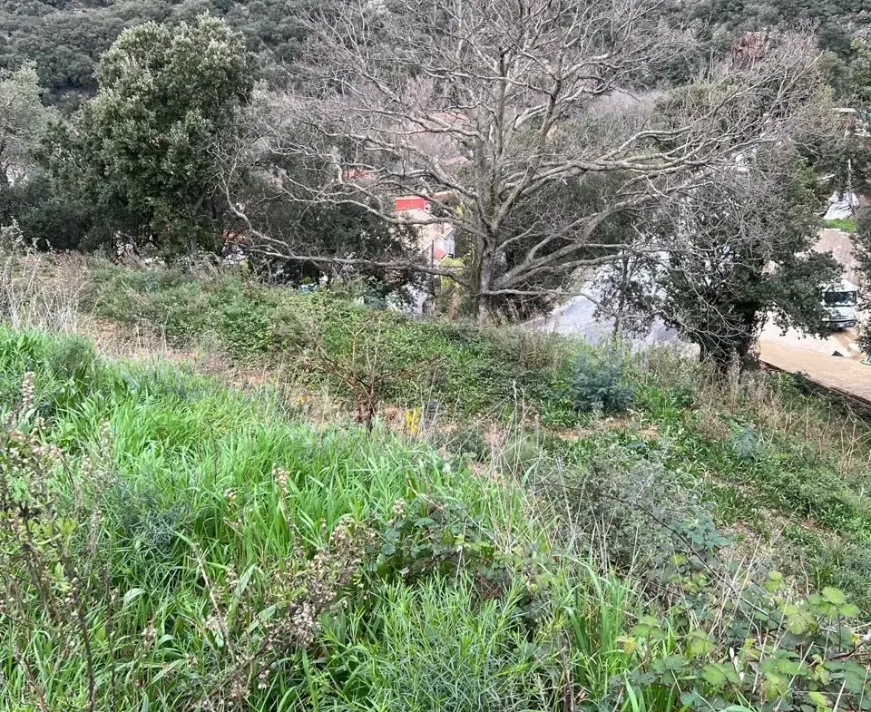 Terrain constructible à Sorède 