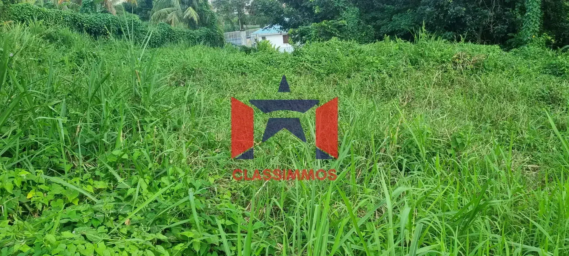 Terrain constructible de 2000 m² à Ducos 