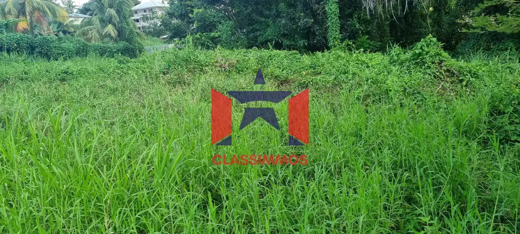 Terrain constructible de 2000 m² à Ducos 