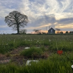 Terrain à bâtir de 865 m2 à Souleuvre en Bocage