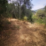 Contes - Sclos de Contes - Terrain de loisirs