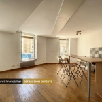 Appartement T2 proche métro Croix Paquet à Lyon