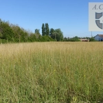 Terrain à bâtir de 2705 m2 - 20 KM Blois Nord