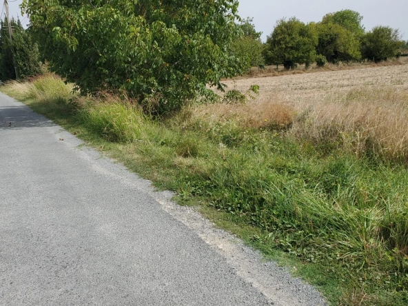 Terrain à bâtir sud Royan Meschers 