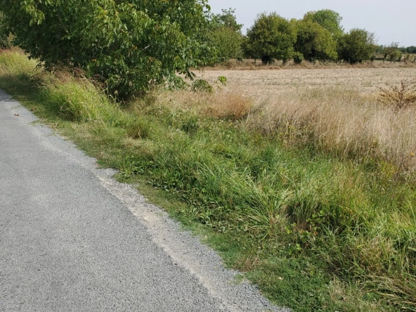 Terrain à bâtir sud Royan Meschers 