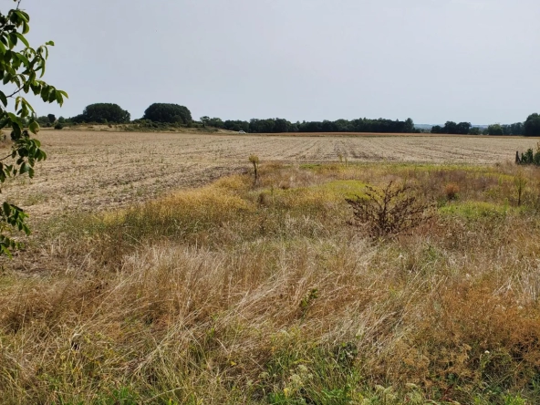 Terrain à bâtir sud Royan Meschers 