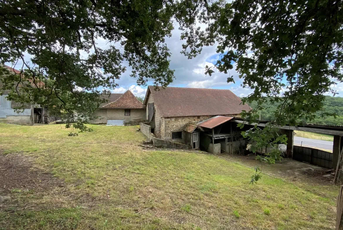 Ferme avec vue Pyrénées 2500 m2 de terrain 