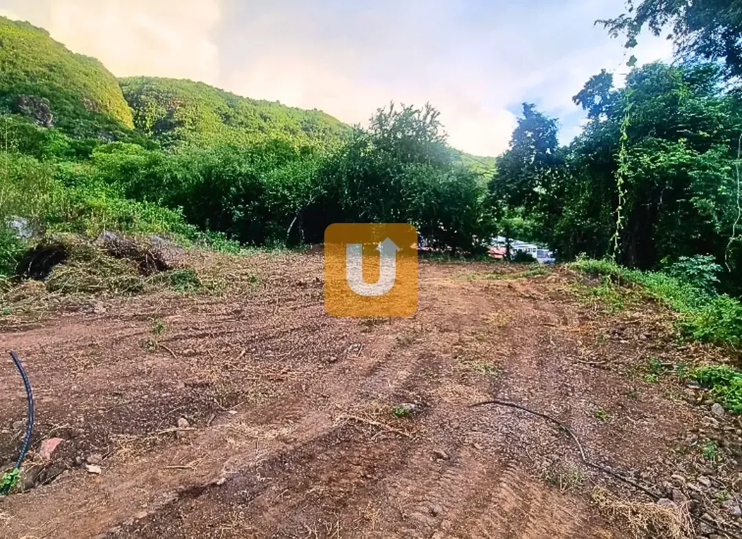 Opportunité en exclusivité : terrain de 826m2 à Savannah/Tour des Roches 