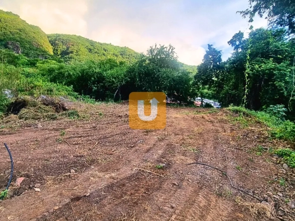 Opportunité en exclusivité : terrain de 826m2 à Savannah/Tour des Roches 