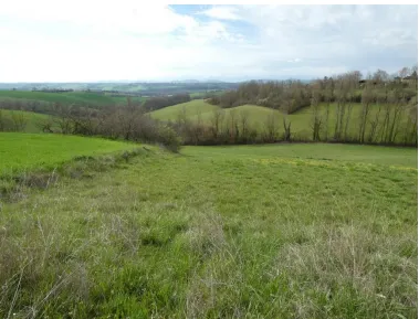 Terre agricole à vendre à Lussan-Adeilhac - Prix : 20 000 euros