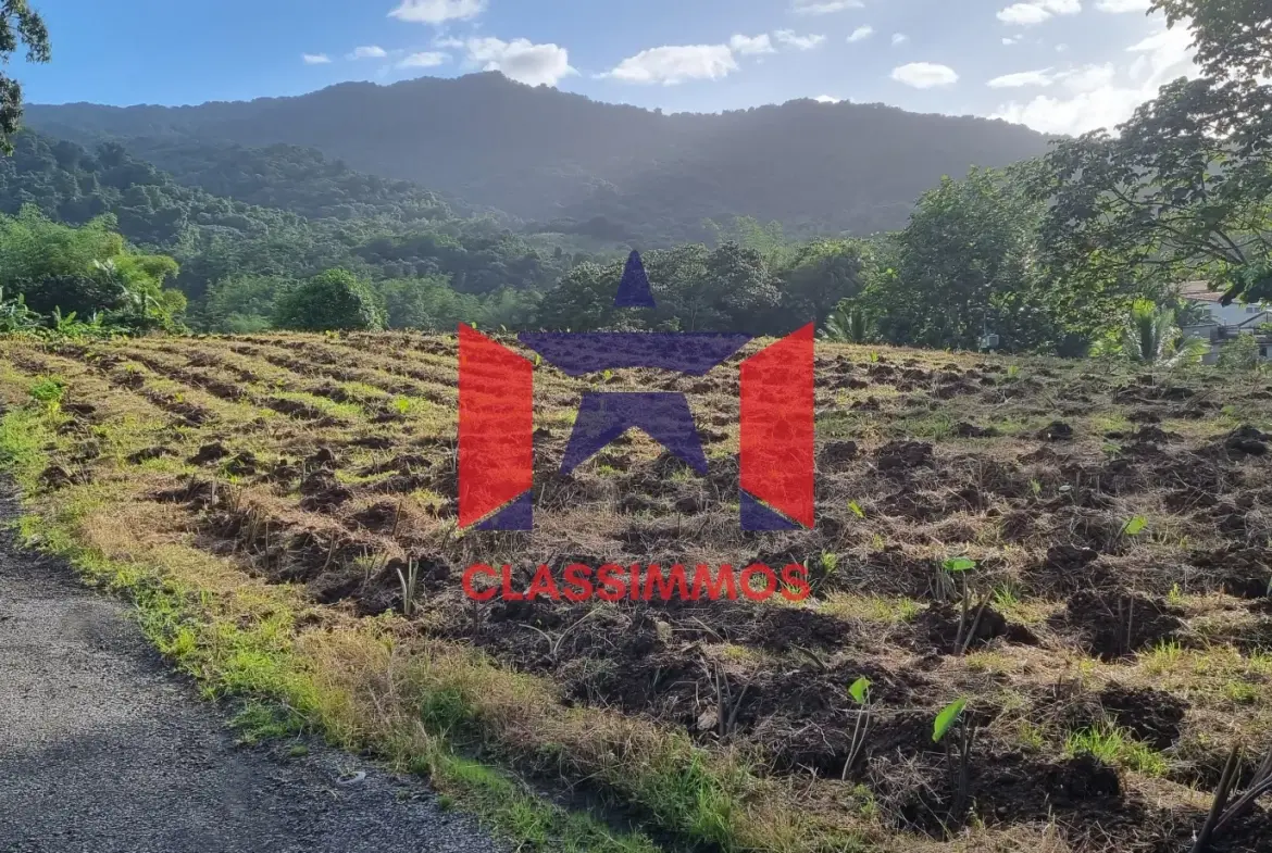 Terrain constructible 1794 m2 