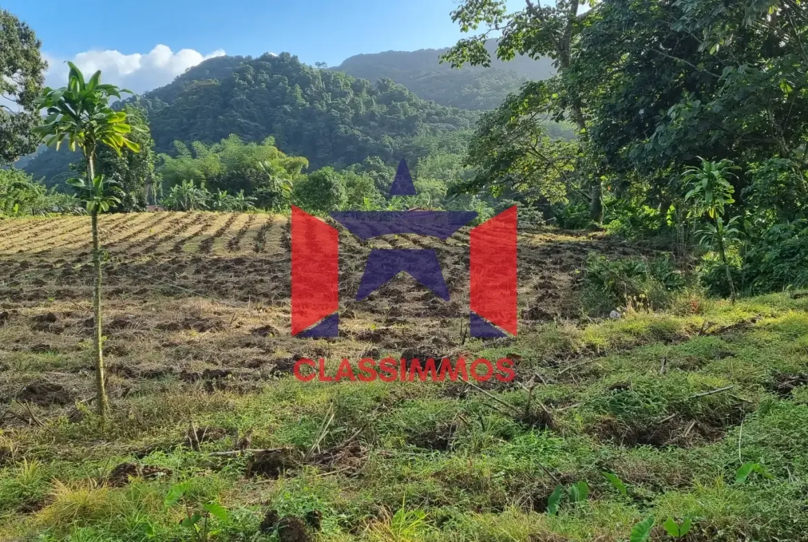 Terrain constructible 1794 m2 