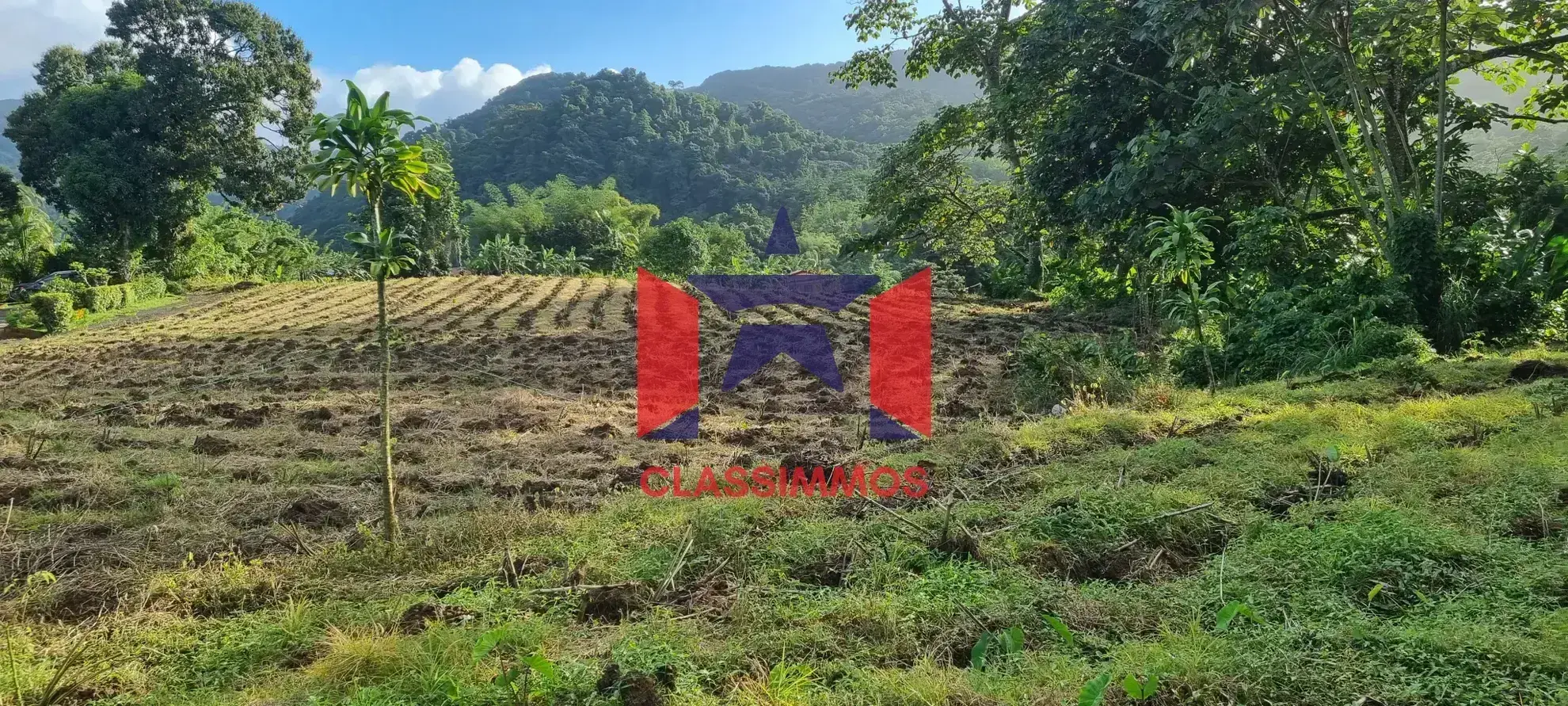 Terrain constructible 1794 m2 