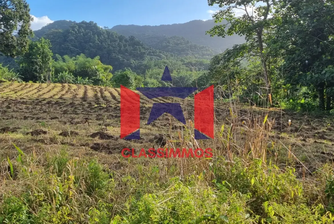 Terrain constructible 1794 m2 