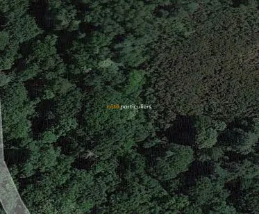Terrain boisé à Pontivy - 5 200 euros
