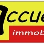 ACCEUILIMMO_1