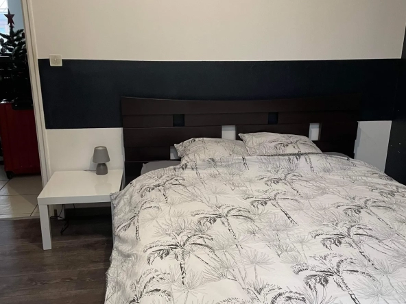 Pontarlier Renovated 3-Room Apartment with Cellar 
