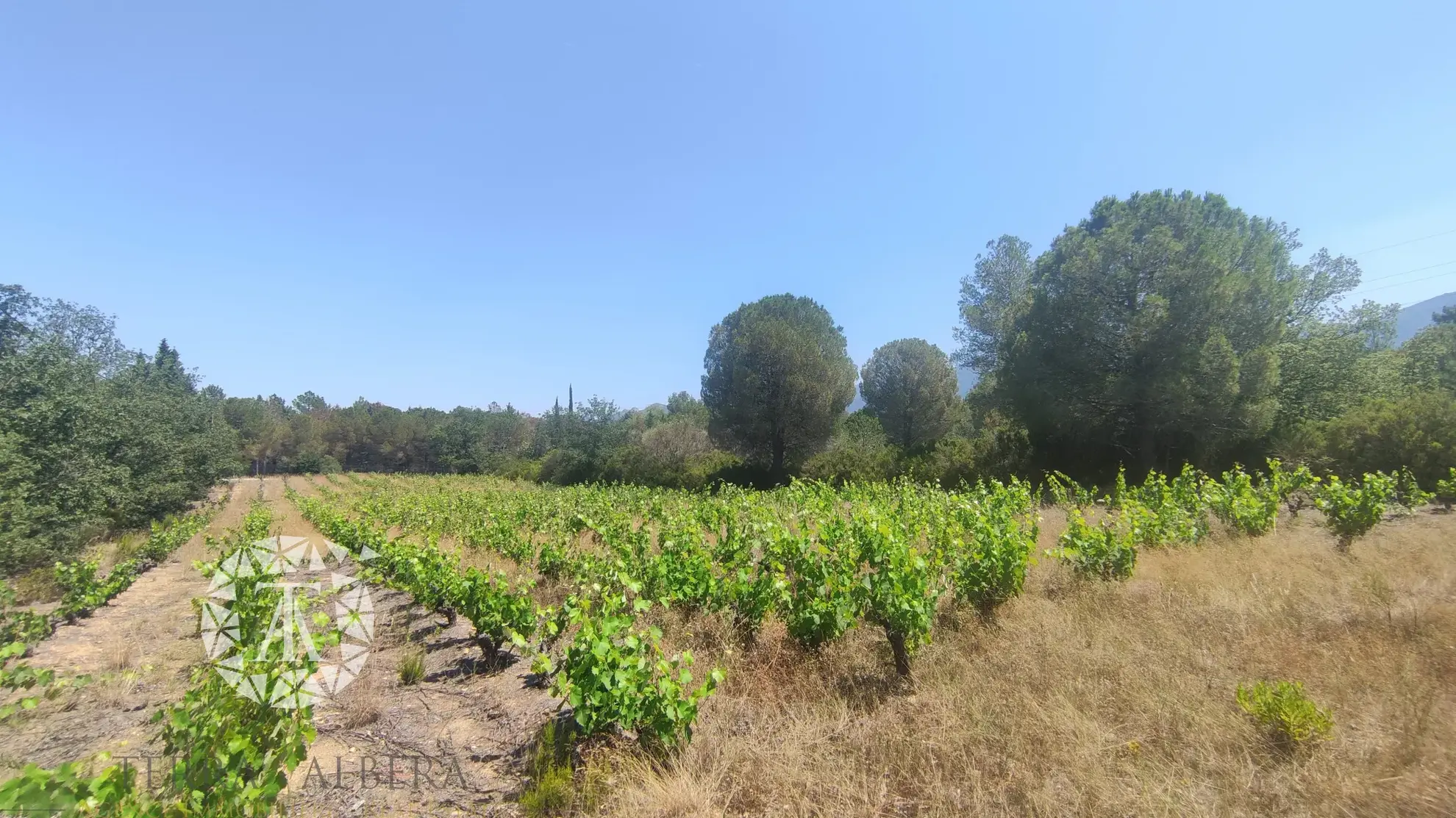 Terrain de loisir au calme à Saint Genis des Fontaines 