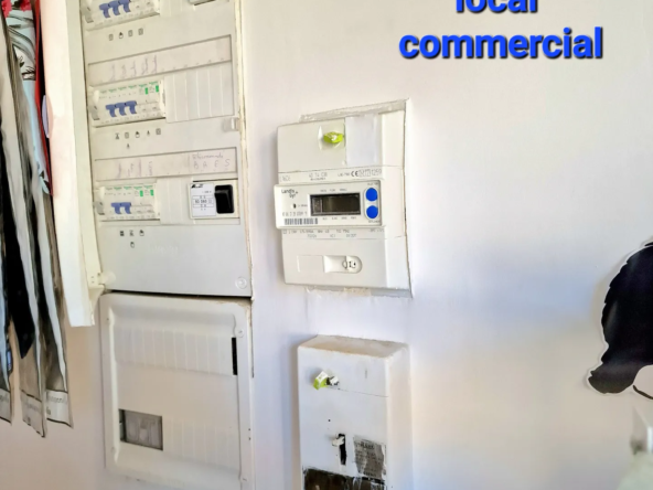 Immeuble à Trun avec Local Commercial et Appartements à Rénover 