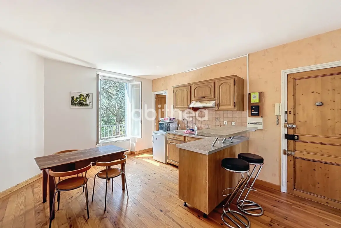 Appartement d'une chambre à Choisy-Le-Roi de 36m2 